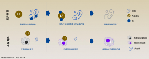 爱他美和美素佳儿奶粉哪个好
