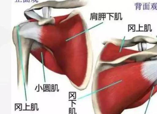 肩膀疼痛是什么原因 怎么快速缓解治疗肩膀疼痛难忍