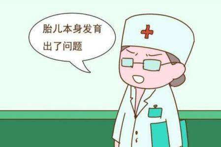 怀孕第几个月最危险?胚胎停育高峰期的原因和怎么处理