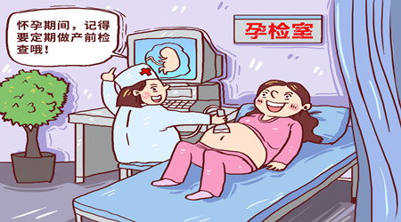 孕24周,做三维还是四维彩超 孕多少周做四维最好