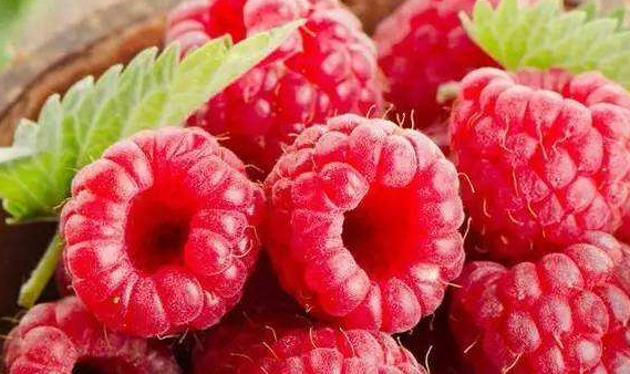 哺乳期可以吃树莓吗 哺乳期可以吃树莓吗
