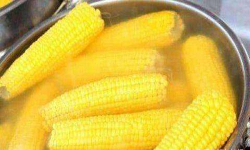 玉米减肥吗 玉米到底能不能减肥呢?