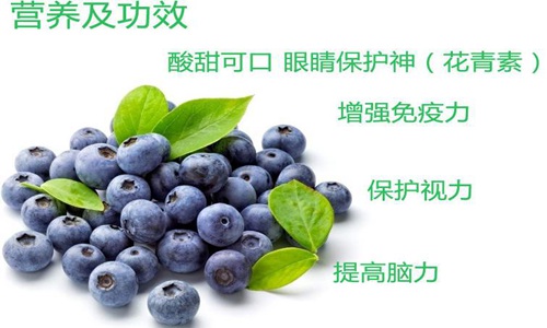 蓝莓的功效与作用不仅仅是护眼,别嫌它贵真的物有所值!