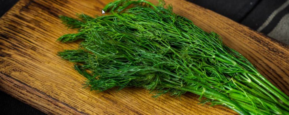 气血不足适合吃什么 这10种食物不妨试试