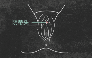 戏弄阴蒂的时机和方法