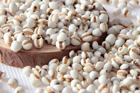 吃薏仁米能减肥美容吗 薏仁米的功效与作用是什么