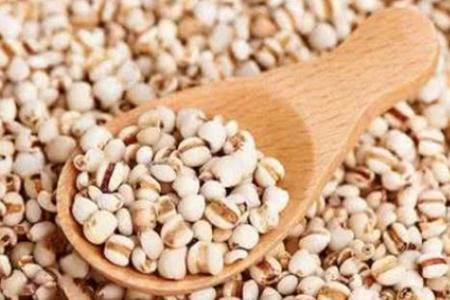 吃薏仁米能减肥美容吗 薏仁米的功效与作用是什么
