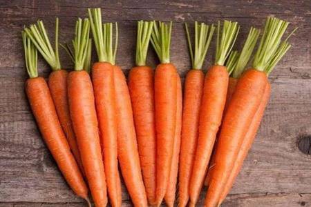 胡萝卜的功效与作用 除了治夜盲还有这些功效