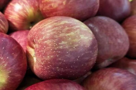 促排卵的食物有哪些？这五种女人天然促排卵食物