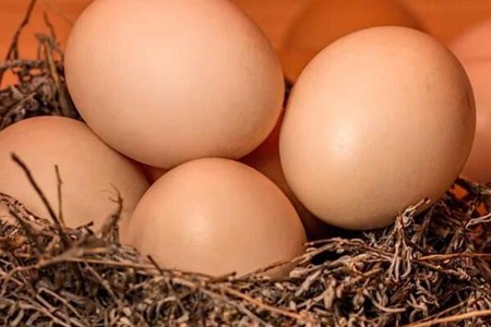 促排卵的食物有哪些？这五种女人天然促排卵食物