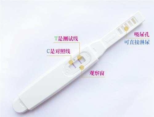 检验结果误差大,你真的会使用“验孕棒”吗？备孕夫妻看过来