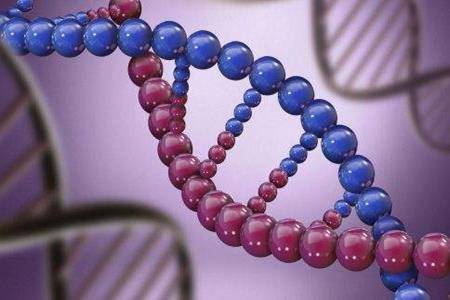 高血脂症怎么解决 高血脂应该怎样调理身体