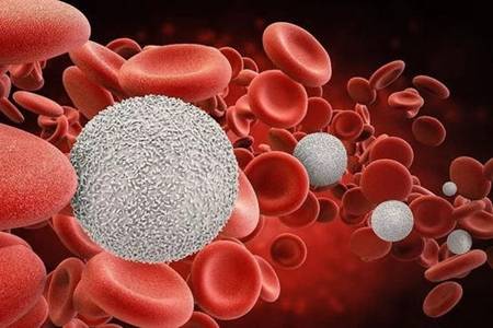 高血脂症怎么解决 高血脂应该怎样调理身体