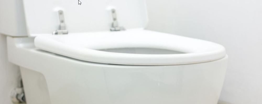 世界厕所日 改善便秘要怎么做