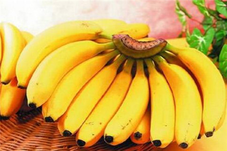 尿酸高吃4种最好最降得快