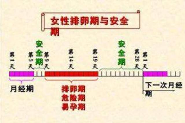 ＂前七后八＂的安全期可信吗？很多女性不懂,最终受伤的是自己