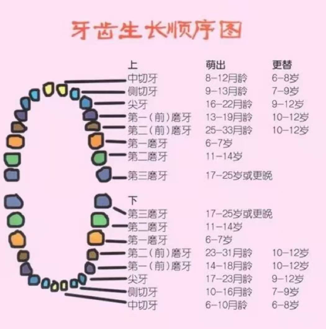 宝宝多大长第一颗牙？这5个＂小怪癖＂,是宝宝在说：我长牙了！