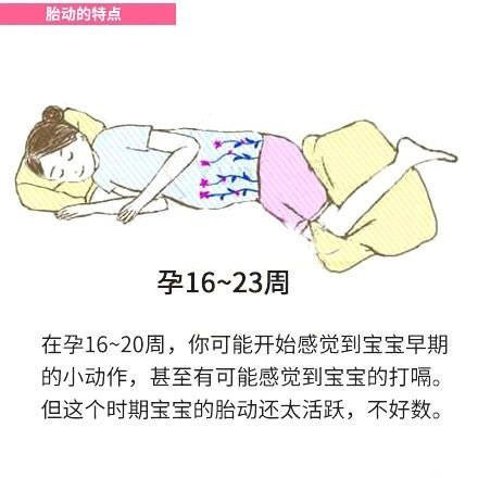 16-23周