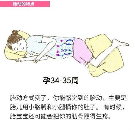 34-35周