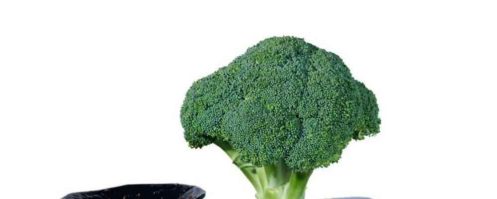 想要美容养颜吃什么好 这些食物多吃不会错 想要美容养颜吃什么好 这些食物多吃不会错