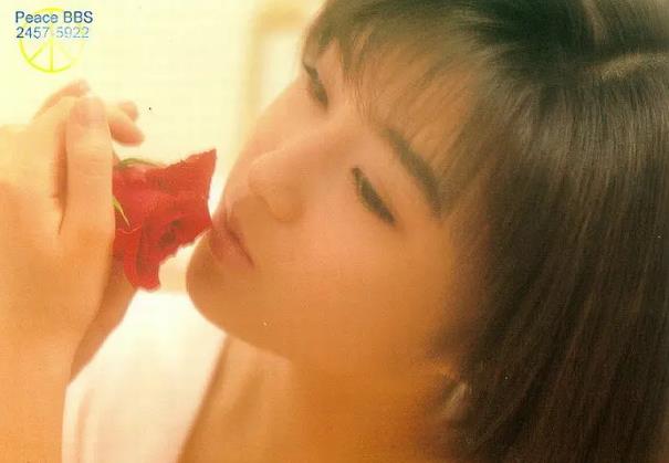 酒井法子性感照