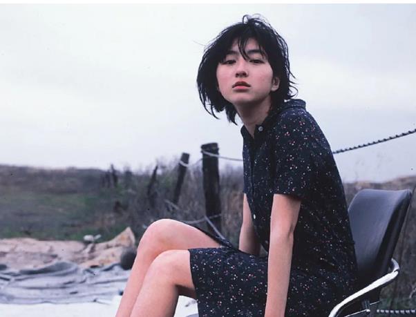 相比以上的几位明星,1980年出生的广末凉子刚出道时倒是多了几分可爱。岁月在她脸上留下了沉稳的魅力。代表作《入殓师》,《盗钥匙的办法》。