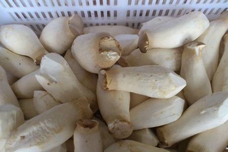 杏鲍菇怎么做好吃 杏鲍菇的做法及食用好处