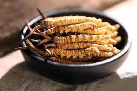 冬虫夏草怎么吃效果最好？这五种冬虫夏草的最佳吃法