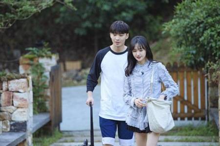 什么是代孕去美国代孕合法吗 女星郑爽被爆代孕弃养引热议