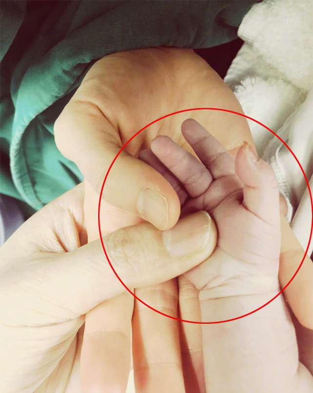 郎朗吉娜官宣生子,同晒一家三口握手照,宝宝小手肉嘟嘟超可爱