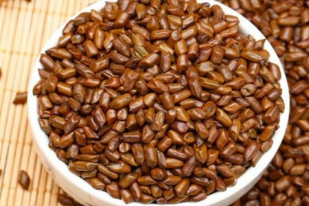 决明子的副作用有哪些副作用?这四个决明子的副作用与禁忌