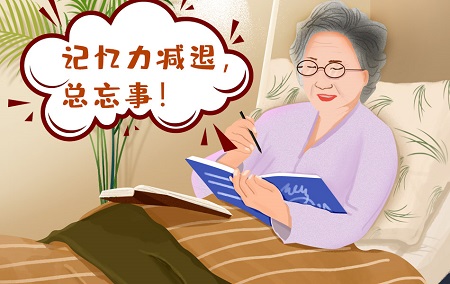 补肾精抗衰老系列谈—— 记忆力下降是大脑走向衰老