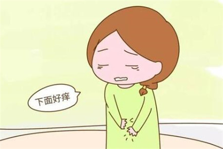 女人阴道炎的危害以及症状