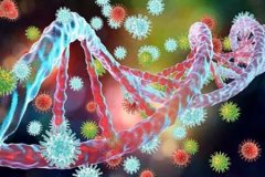 小三阳会不会传染给别人？乙肝小三阳能治愈吗