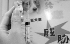 打狂犬疫苗吃辣的后果
