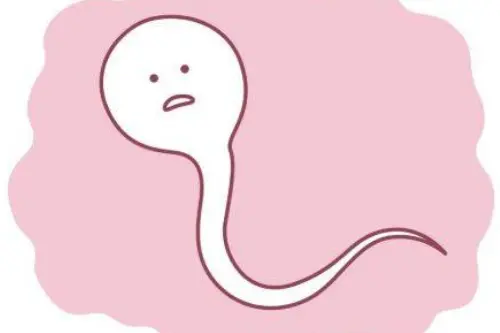 男性精夜的量少,这些原因一定要想到