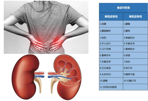 六味地黄丸是补肾阴虚还是肾阳虚,如何区分及适宜人群