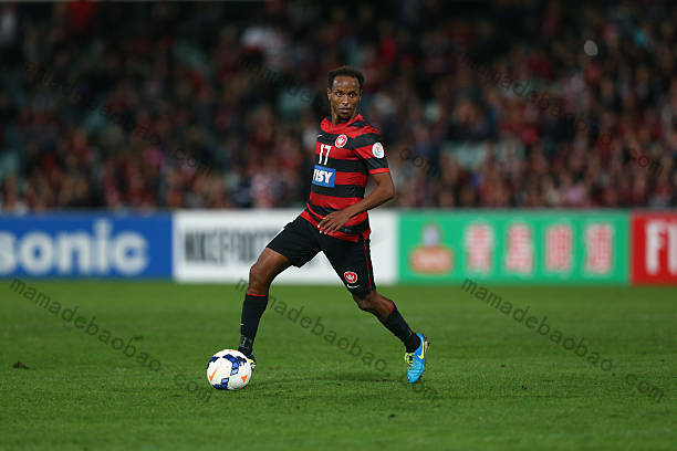 必赢亚洲官网都有哪些特色专栏？（专栏丰富多彩）