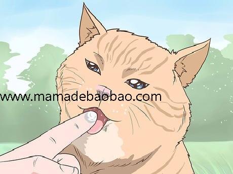 4种方法来使用凡士林（美容产品）