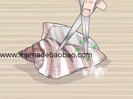如何不用打孔器给贝壳钻孔（图钉在小贝壳上钻孔）