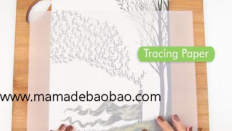 如何使用硫酸纸: 9 步骤(描摹图画)
