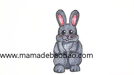 如何画小兔子: 13 步骤（画写实风格的小白兔）