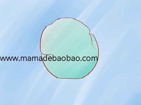 如何制作DNA模型（用粘土做模型）